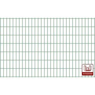 Panel ogrodzeniowy 2D 830x2500 mm, drut fi 6/5/6 mm